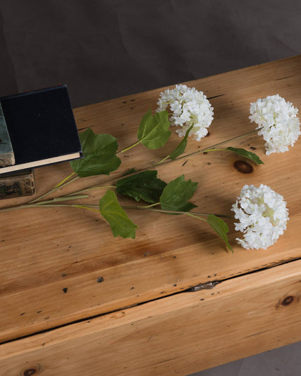 Viburnum Opulus