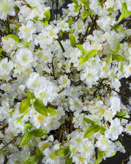 White Cherry Blossom Spray