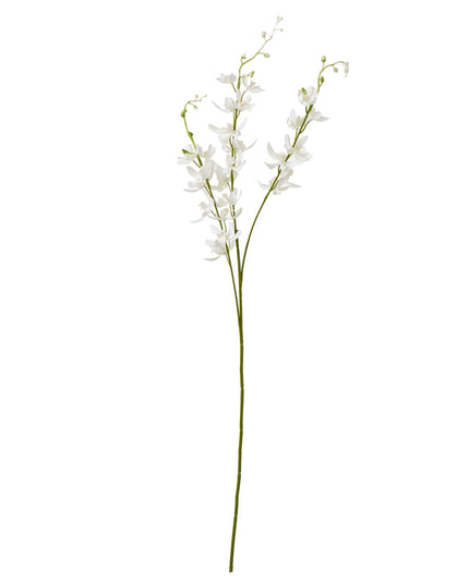 White Cymbidium Spray