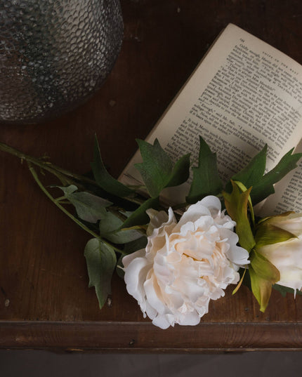 White Fashion Peony