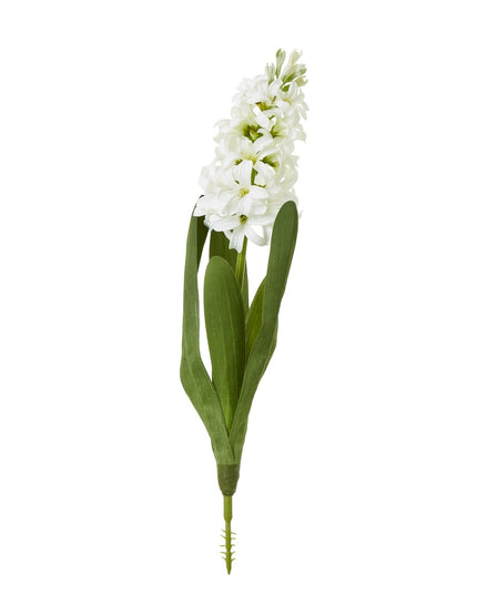 White Hyacinth Stem