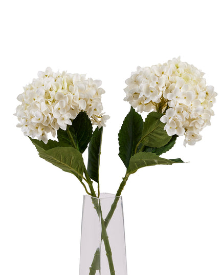 White Hydrangea Stem