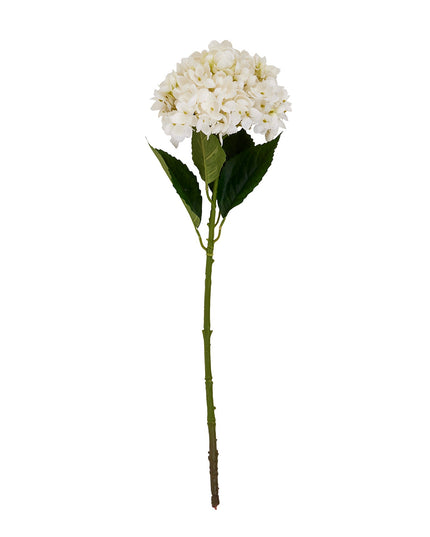 White Hydrangea Stem