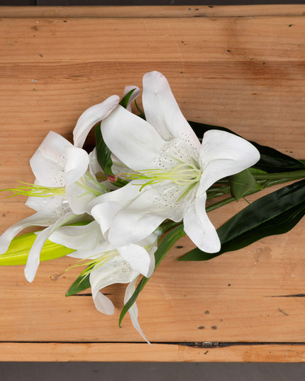 White Lily