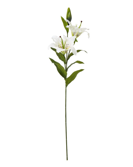 White Madonna Lily Spray