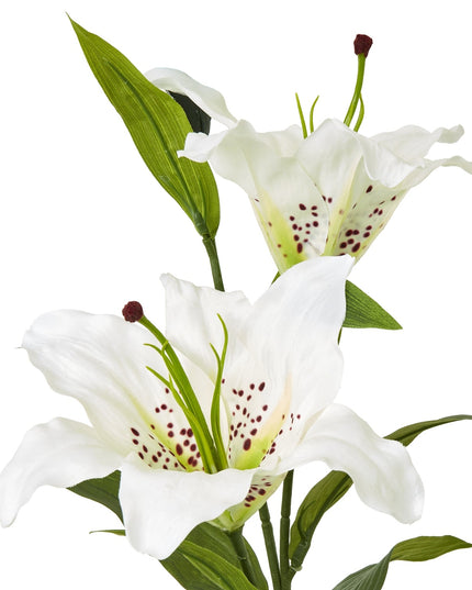 White Madonna Lily Spray