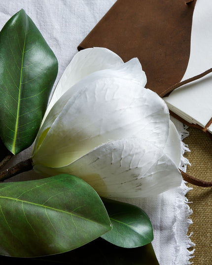 White Magnolia Stem