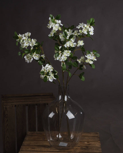 White Spring Mock Orange Flower