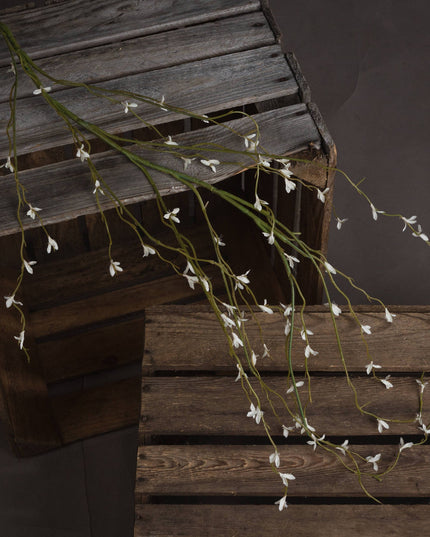 White Willow Spray