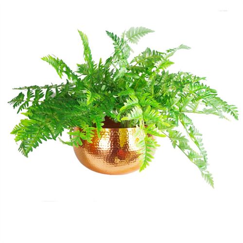 https://images.avasam.com/?w=500&url=https://avasamnew.s3.amazonaws.com/live/GB010188/S0671497699_14.webp