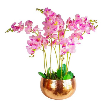 https://images.avasam.com/?w=500&url=https://avasamnew.s3.amazonaws.com/live/GB010188/S0671497699_13.webp