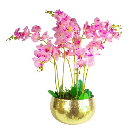 https://images.avasam.com/?w=500&url=https://avasamnew.s3.amazonaws.com/live/GB010188/S0671497729_14.webp
